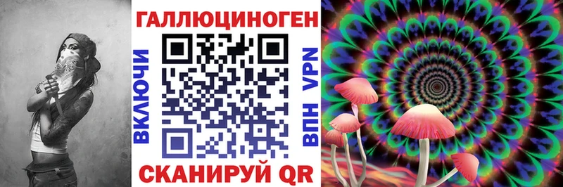 ссылка на мегу ссылки  купить закладку  Баймак  Галлюциногенные грибы Psilocybine cubensis 